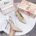 6Dior Shoes for Dior High-heeled Shoes for women #999922189