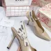 8Dior Shoes for Dior High-heeled Shoes for women #999922191