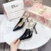 4Dior Shoes for Dior High-heeled Shoes for women #999922193