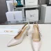 20Dior Shoes for Dior High-heeled Shoes for women #A53221