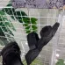 5Dior Shoes for Dior Slippers for women #99903676