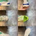 9Gucci Shoes for Gucci Unisex Shoes #999926058