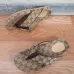 4Louis Vuitton Shoes for Men's Louis Vuitton Slippers #99905973