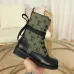 8Louis Vuitton Shoes for Women's Louis Vuitton boots #99900509