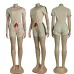 13Gucci new Fashion Tracksuits for Women #A39529