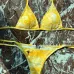 72025 new style Dior swimsuit fashionable sexy women swimwear #A45971